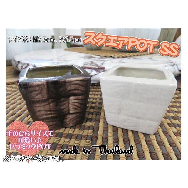 植木鉢 鉢 プランター 鉢カバー スクエアポット Ss 水抜き穴なし 受け皿なし エアプランツ セラミック 陶器 おしゃれ Ppp 0225 Ex Mart 通販 Yahoo ショッピング