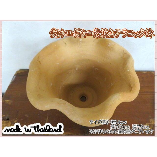 植木鉢 鉢 プランター 受け皿付 フリル ひらひら テラコッタ 素焼き