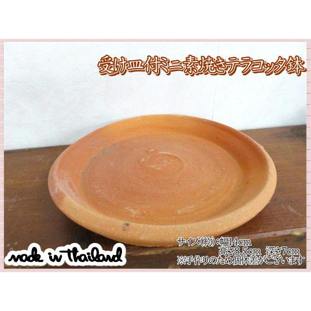 植木鉢 鉢 プランター 受け皿付 フリル ひらひら テラコッタ 素焼き