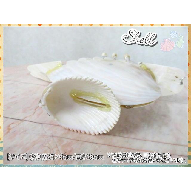貝製品 Shell シェル 貝殻 船 舟 オーナメント アレンジ 貝製品 Shell シェル 貝殻 船 舟 オーナメント アレンジ