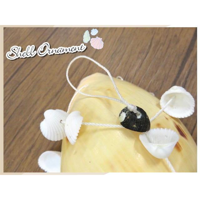 貝製品 Shell シェル 貝殻 オーナメント アレンジ デコレーション 14