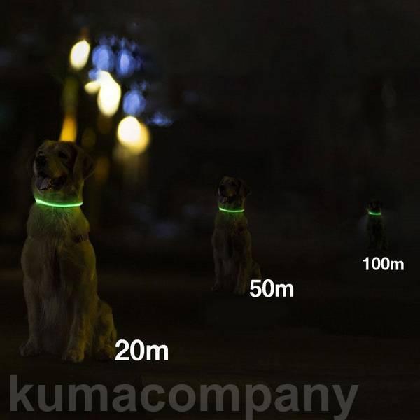 犬 首輪 光る 光る首輪 ペット 猫 LED ライト 光 点灯 蛍光 小型犬 中型犬 大型犬 USB充電式 夜 散歩 安全 事故防止 おしゃれ｜exp-shop｜08
