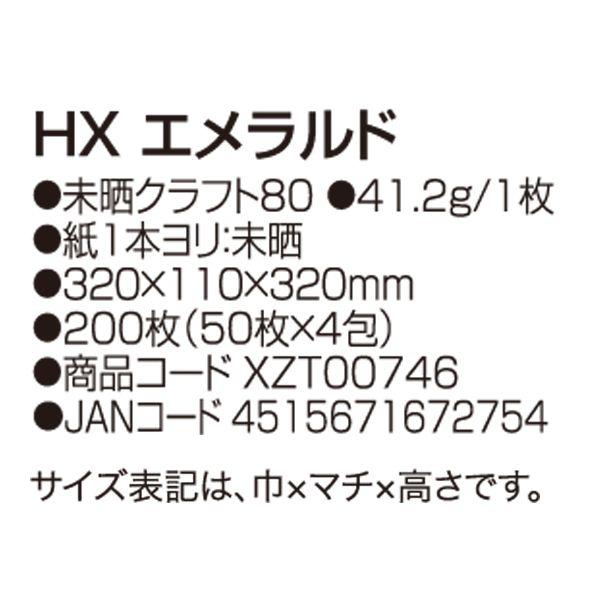 ●手提袋　HX　エメラルド　XZT00746　200枚入　ケース販売　納期1週間　大型商品　取り寄せ品　パックタケヤマ_1