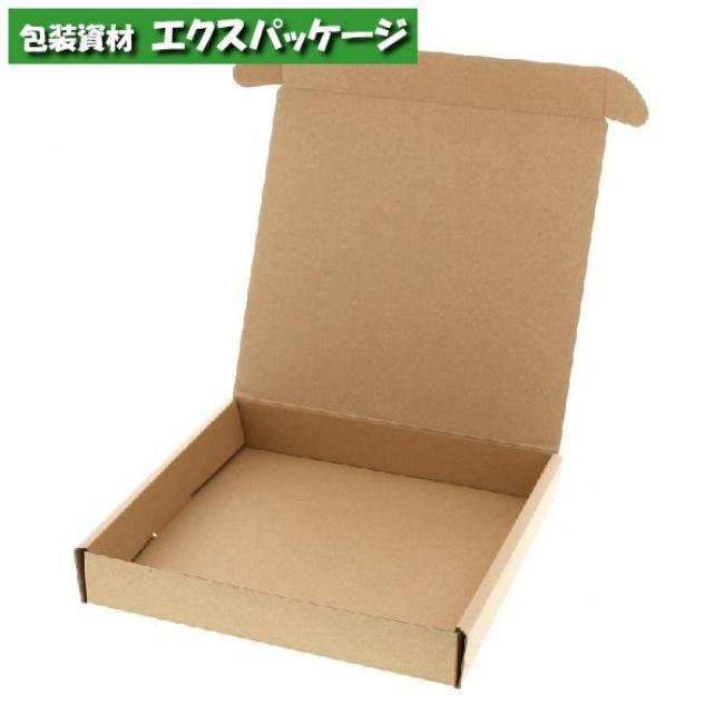 ナチュラルボックス ナチュラルBOX 組立式 Z-20 プレート1枚用 10枚入