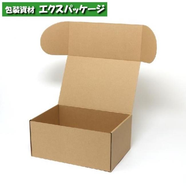 ナチュラルボックス ナチュラルBOX 組立式 Z-18 10枚入 #006201810