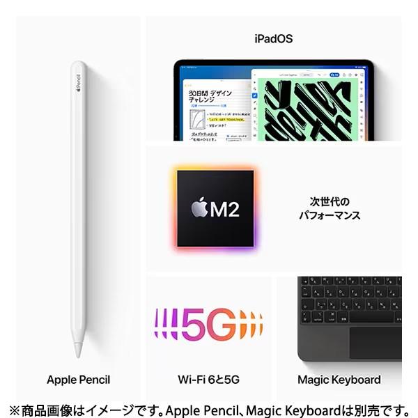 iPad Pro 12.9インチ 第6世代 Wi-Fi+Cellular 128GB 2022年秋モデル MP1Y3J/A SIMフリー [シルバー] 4549995348866｜expgst｜07