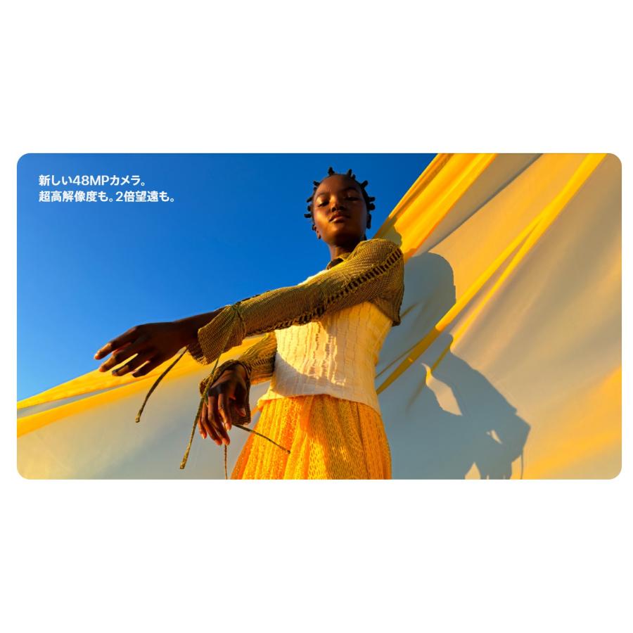 iPhone 新品未開封 iPhone15 Plus 256GB [黒/ブラック/Black] SIM