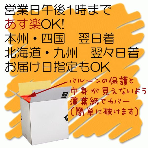 合格祝い 卒業祝い 卒園 祝い キャラ電 アナと雪の女王 バルーンギフト お祝いバルーン電報 風船 電報 ディズニー アナ雪 誕生日バルーン Pg バルーン電報ギフト アットマート 通販 Yahoo ショッピング