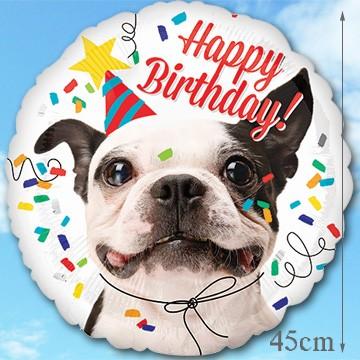 Add バルーン バースデードッグ 誕生日バルーン バルーンギフト バルーン風船 ペット 犬 サプライズ Pg バルーン電報ギフト アットマート 通販 Yahoo ショッピング