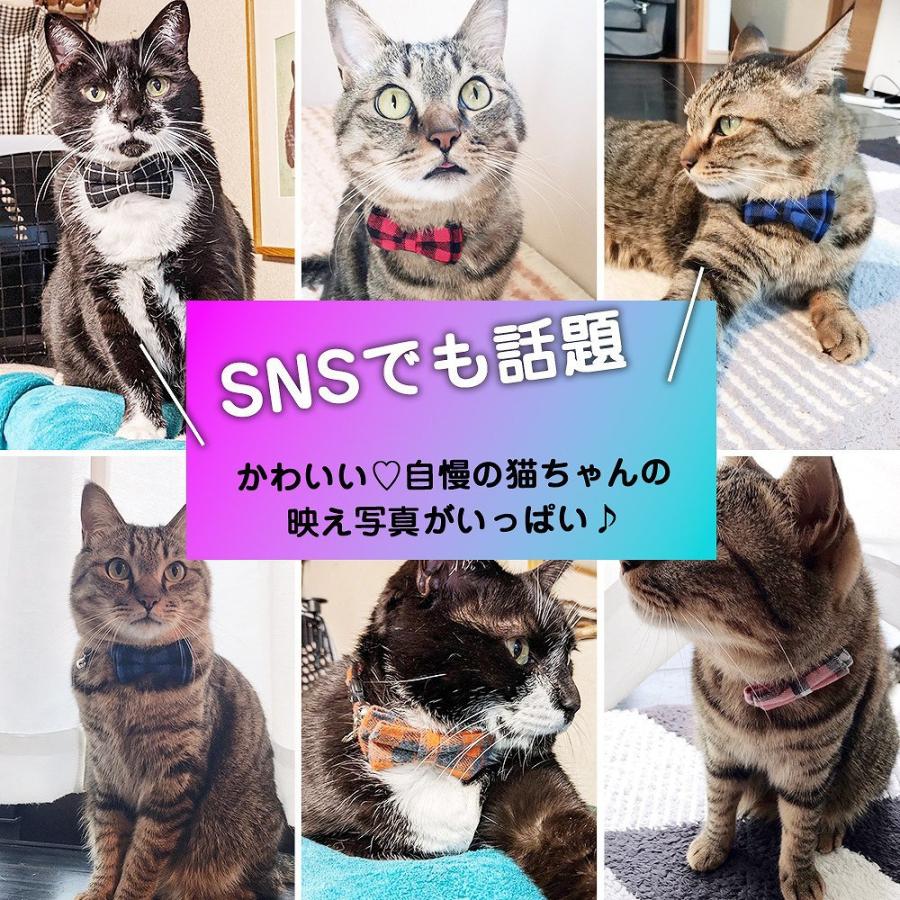 首輪 猫グッズ リボン セーフティバックル 安全 安心 鈴付き カラー チェック かわいい 2way 取り外し 蝶ネクタイ おしゃれ ペット リード ハーネス 散歩 人気｜expsjapan｜08