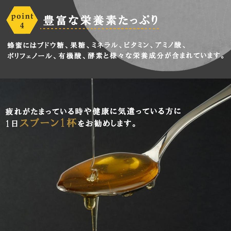 蜂蜜 国産 はちみつ 日本ミツバチ 150g 菌ちゃんげんきっこ