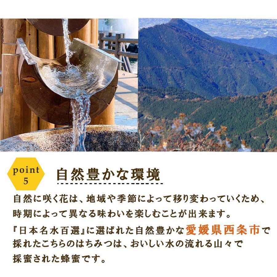 蜂蜜 国産 はちみつ 日本ミツバチ 150g 菌ちゃんげんきっこ