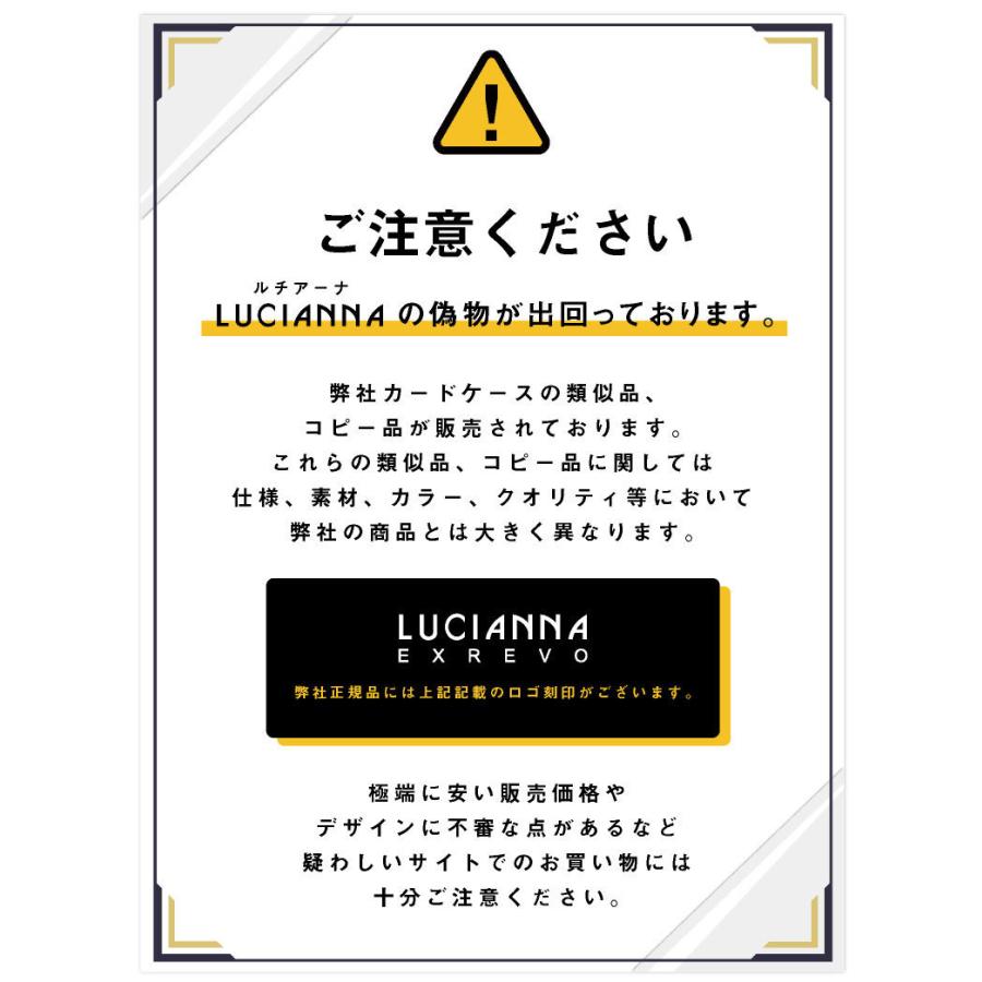 カードケース レディース ビニール 名刺入れ 大容量 メンズ 40枚 スリム じゃばら Cc 1 ファッション雑貨 小物のエクレボ 通販 Yahoo ショッピング
