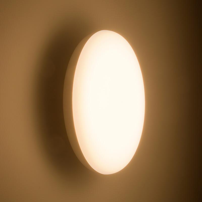 LED浴室灯 100形相当 電球色 【第1位獲得！】 要電気工事 オーム電機 06-3909 LT-F5415KL