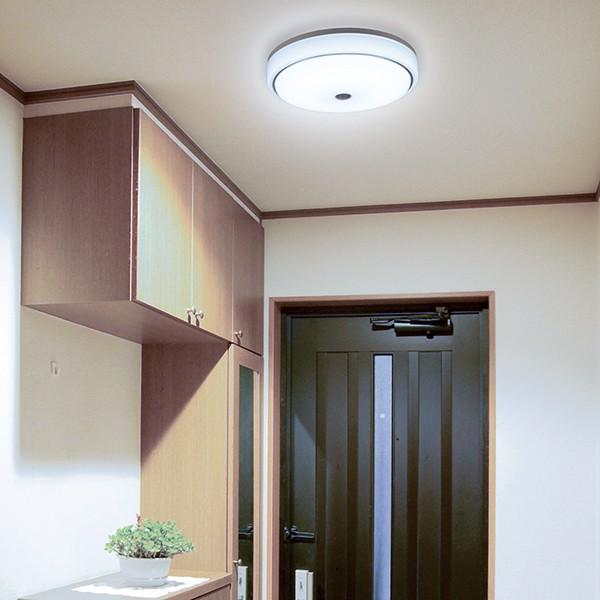 LED内玄関灯 センサー付 昼光色 明暗＋人感センサー ミニシーリング LT-Y18D-G-PIR 07-9904 オーム電機