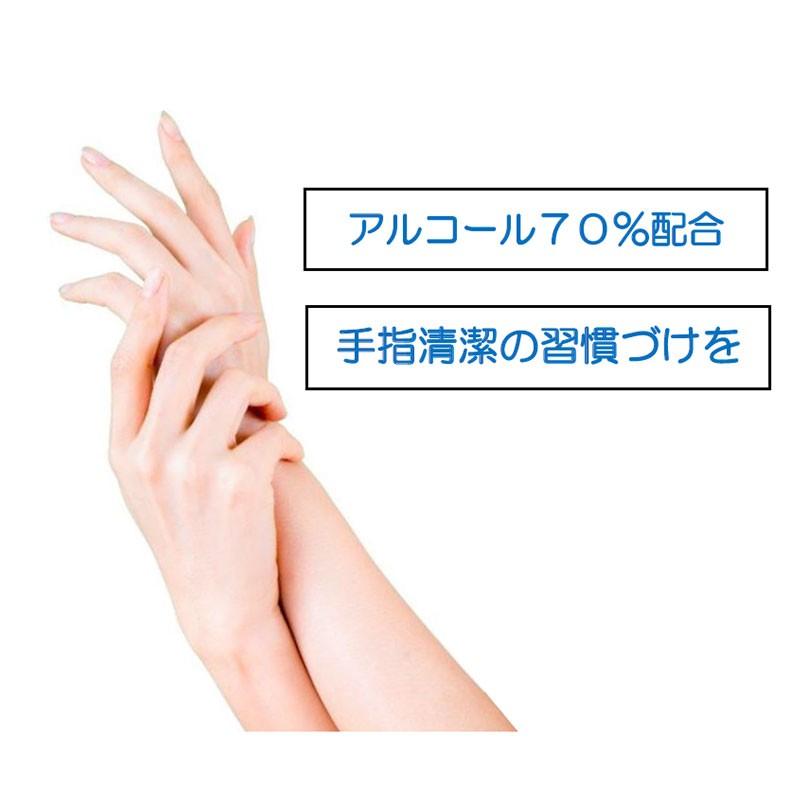 アルコール消毒 アルコール除菌 消毒用エタノール アルコール70 アルコール消毒 アルコール除菌 消毒用エタノール アルコール70