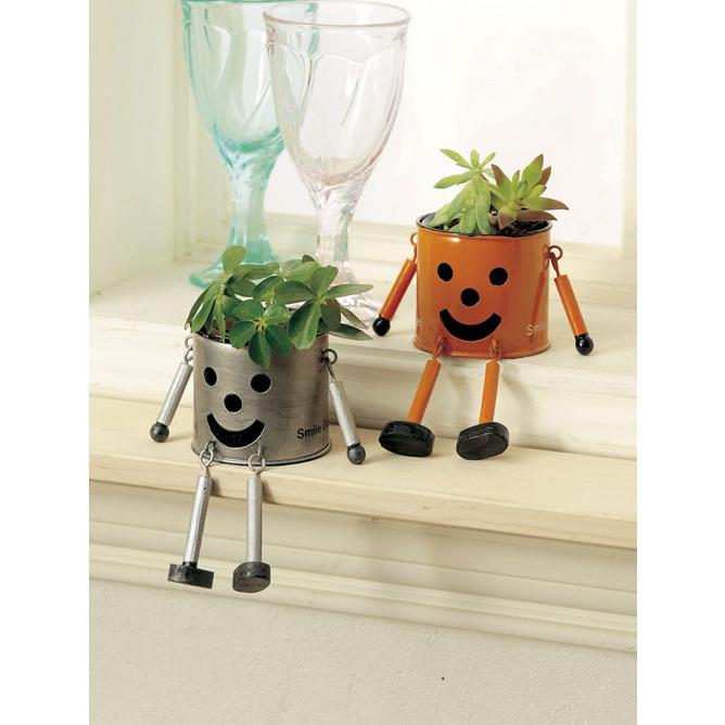 イマンプリンセスローズ グリーン ブレットボックス 【公式通販】