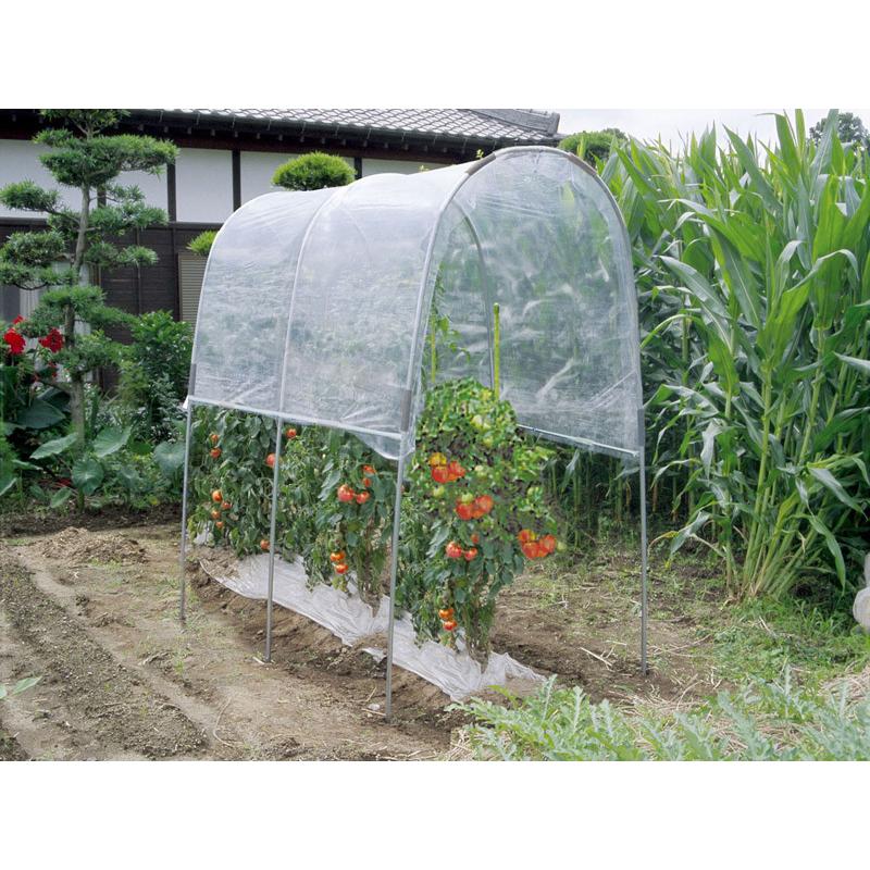 雨よけハウス組立セット 間口1.2mX奥行1.84mX高さ1.75m 1うね用 3