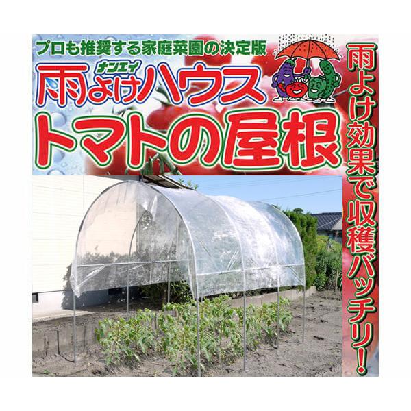 雨よけハウス組立セット 間口1.8mX奥行2.82mX高さ1.98m 2うね用8