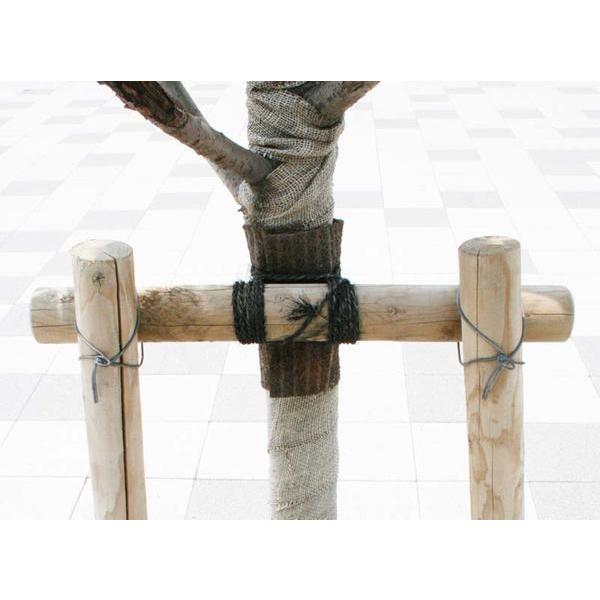 人工杉テープ 幅15cm×長さ10m巻 養生 杉皮 幹あて 杉テープ 害虫抑制