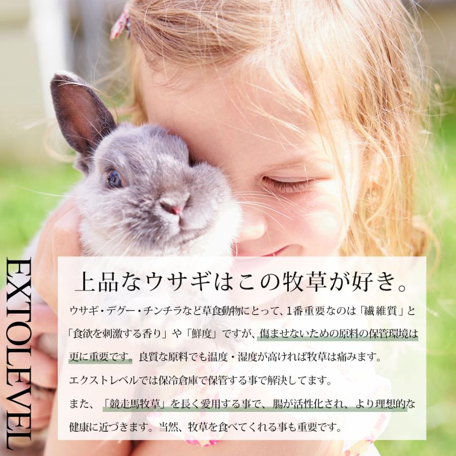 EXTOLEVEL（エクストレベル） うさぎ プレミアム牧草 競走馬 チモシー