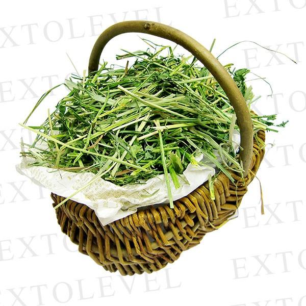 PREMIUM MIX (魔法の様な牧草) | 令和7年産 新刈り | チモシー 1番刈り ミックスチモシー | 競走馬プレミアム加工 エクストレベル 訓練チモシー 500グラム 6袋 | EXTOLEVEL | 02