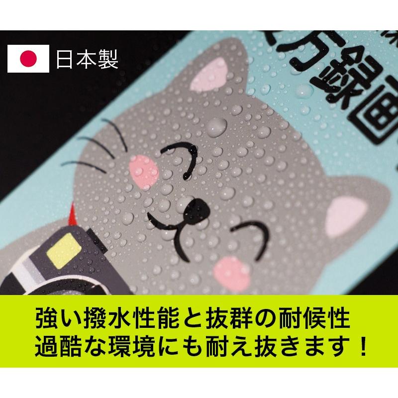 送料無料 安全確保のため後方録画中 ねこちゃん安心ステッカー シール