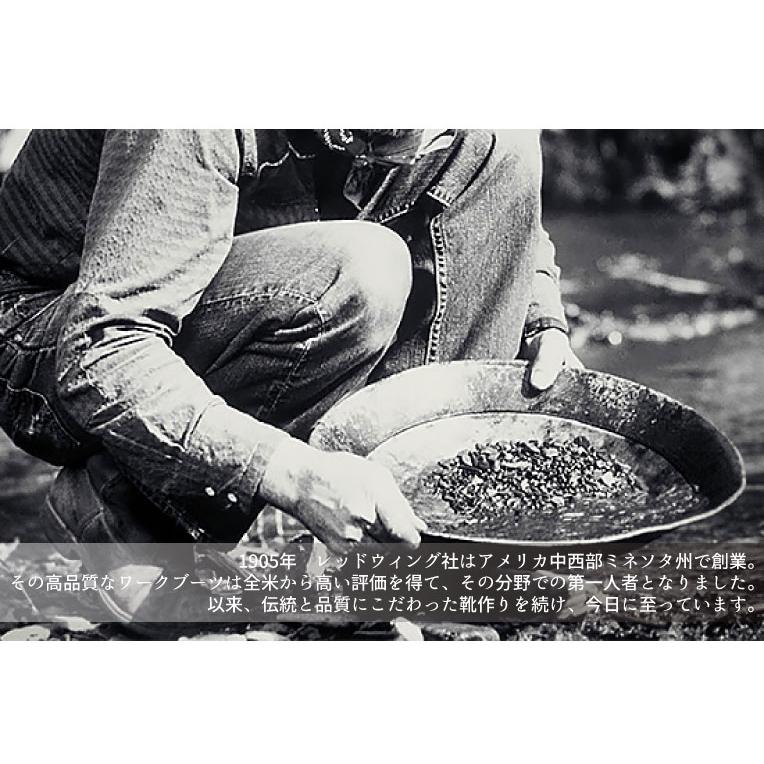 『RED WING / レッドウィング』 RW8849  CLASSIC WORK 6INCH MOC TOE  / クラシックワーク 6インチ モックトゥ   -1色- | RED WING SHOES | 02