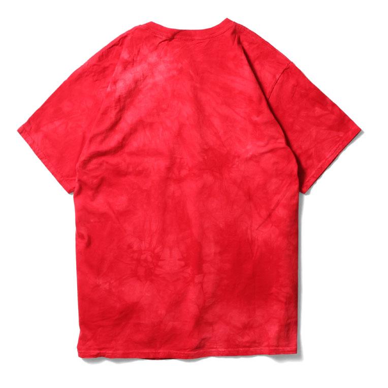 【並行輸入品】THE MOUNTAIN / ザマウンテン TM2521 THE MOUNTAIN T-SHIRT / ザマウンテンTシャツ -全6色- | LOS ANGELES APPAREL | 17