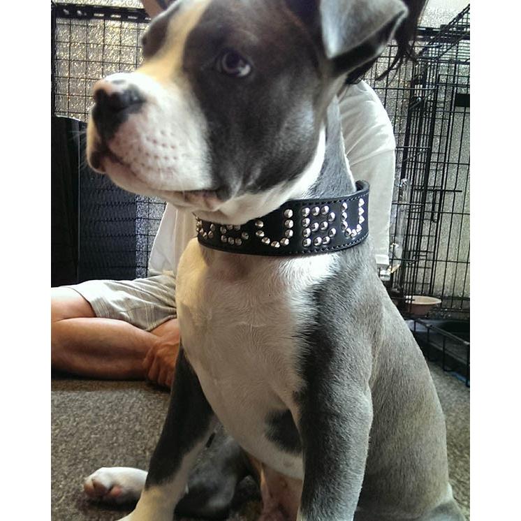 首輪 中型犬用 スタッズ 革 3cm Type Name 色は７色から サイズは1cm単位でオーダー 3cmname エクストラヘビー 通販 Yahoo ショッピング