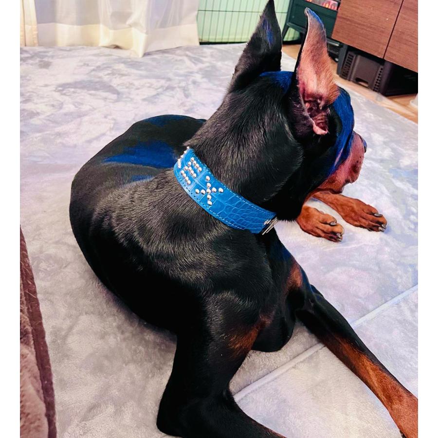 シティポップ 和モノ レコード 9 枚 セット 竹内まりや 八神純子 杉山