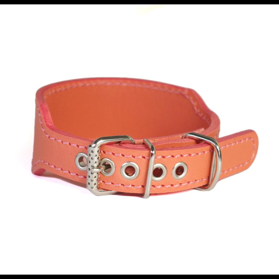 首輪 ウィペット 革 4cm幅：4cm Type G2-000 (鋲なし)【色は10色以上