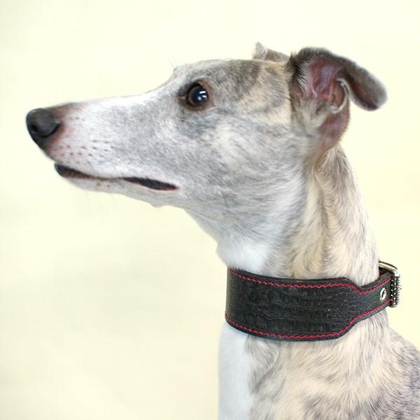 首輪 ウィペット 革 4cm幅：4cm Type G2-000 (鋲なし)【色は10色以上