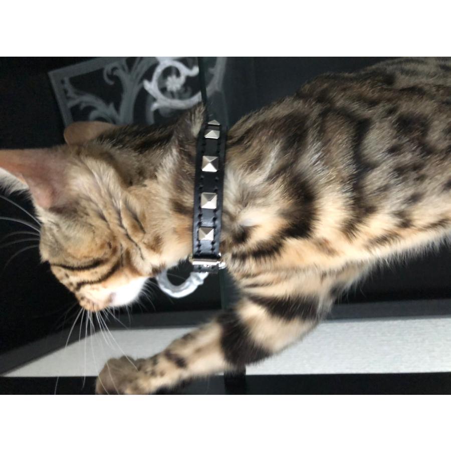 首輪 猫 スタッズ 革 :Cats 001(角鋲）【色は10色以上から、サイズは