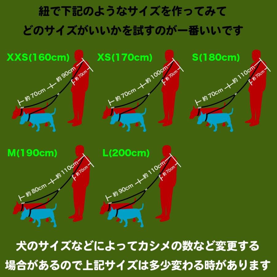 肩がけ 強度 ショルダーリード 革：2cm幅 EX-Lead 006 ダブル【色は革7色以上から、PPテープは７色から、長さもオーダーできる！】の画像