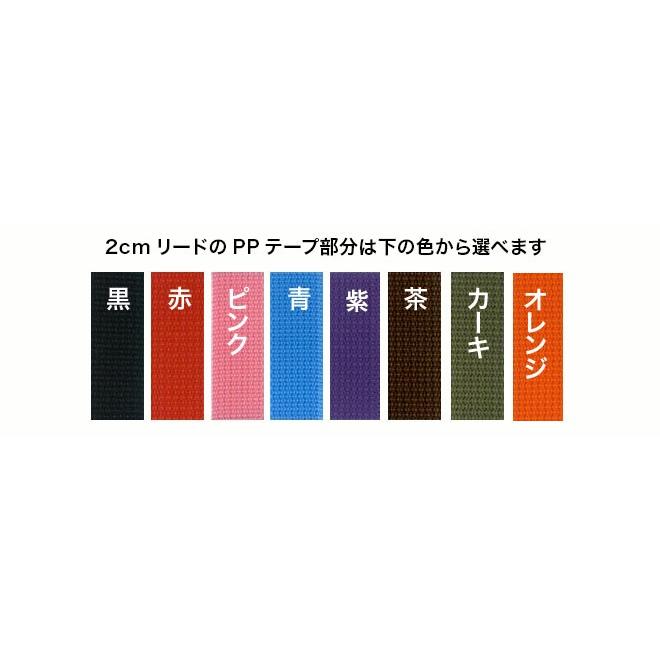肩がけ 強度 ショルダーリード 革：2cm幅 EX-Lead 006 ダブル【色は革7色以上から、PPテープは７色から、長さもオーダーできる！】の画像