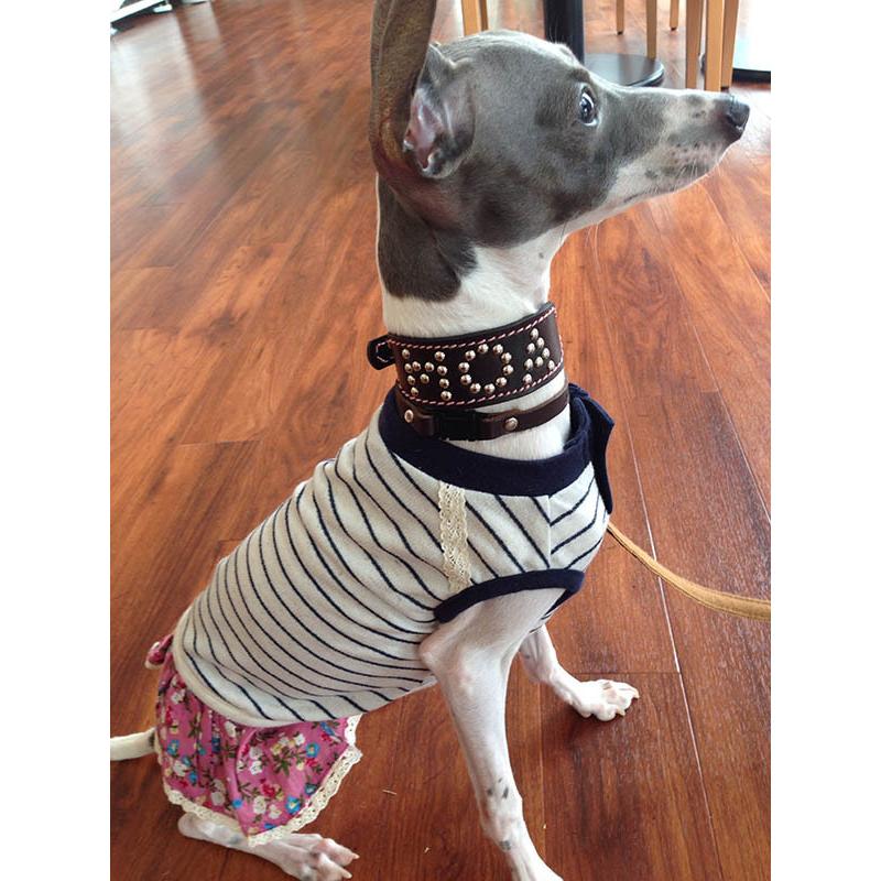 首輪 イタグレ ミニピン スタッズ 革 幅広：Small Type G2_NAMEZ(平尖