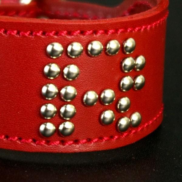 ＋イニシャル(首輪との組み合わせ用なのでイニシャルだけの購入不可） | 