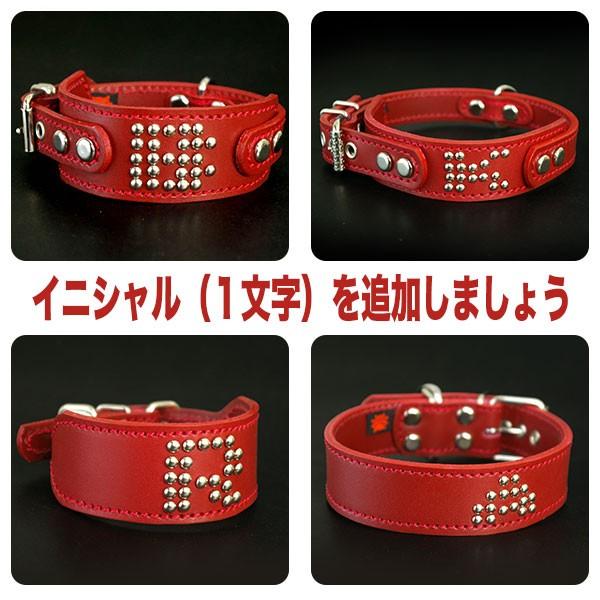＋イニシャル(首輪との組み合わせ用なのでイニシャルだけの購入不可） |  | 01
