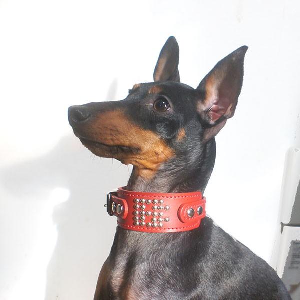 ＋イニシャル(首輪との組み合わせ用なのでイニシャルだけの購入不可） |  | 04