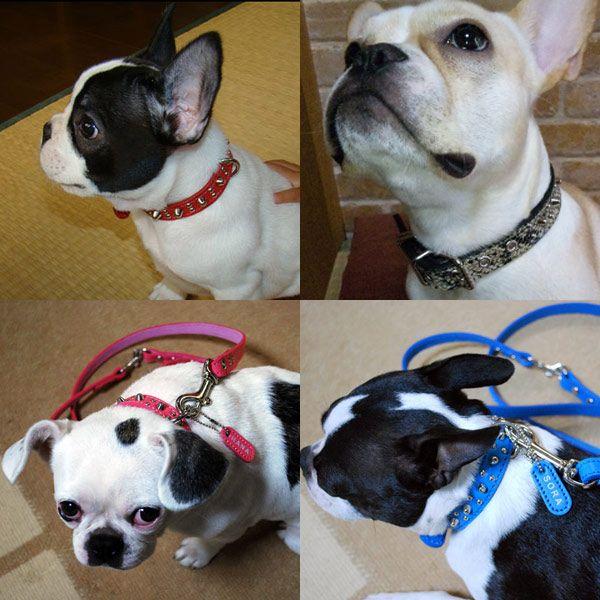 首輪 中型犬用 スタッズ 革 2cm幅：2cm Type 001(8mm+4mm丸鋲)【色は10色以上から、サイズは1cm単位でオーダー】 |  | 03