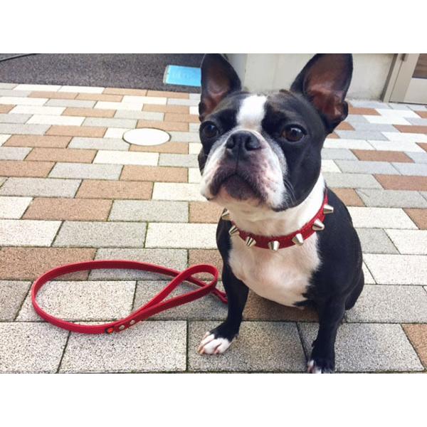 首輪 中型犬用 スタッズ 革 2cm幅：2cm Type 002(14mm鋲)【色は10色以上から、サイズは1cm単位でオーダー】 |  | 14