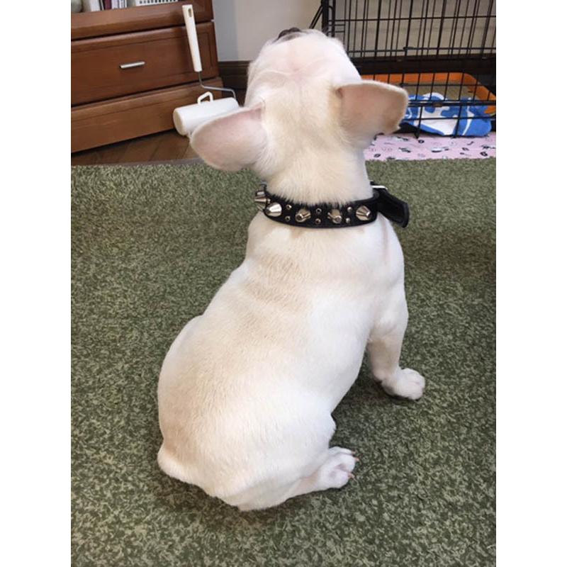 首輪 中型犬用 スタッズ 革 2cm幅：2cm Type 003(14mm+5mmフジタカ鋲)【色は10色以上から、サイズは1cm単位でオーダー】 |  | 11