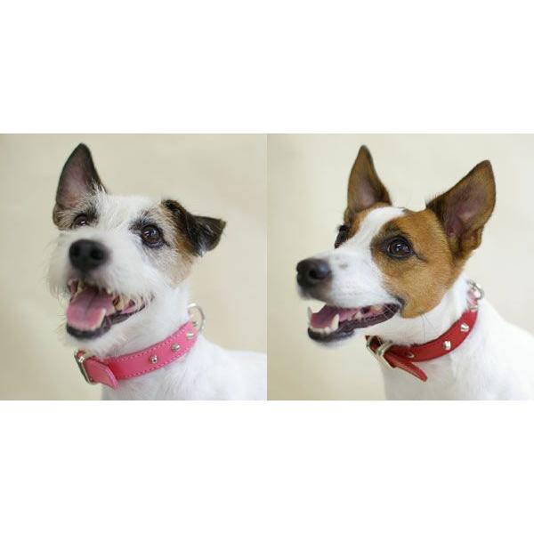 首輪 中型犬用 スタッズ 革 2cm幅：2cm Type 005(8mm鋲)【色は10色以上から、サイズは1cm単位でオーダー】 |  | 03