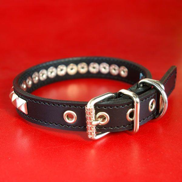 首輪 中型犬用 スタッズ 革 2cm幅：2cm Type S2R(10mm角鋲)【色は10色以上から、サイズは1cm単位でオーダー】 |  | 01