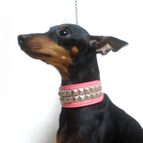 首輪 イタグレ ミニピン スタッズ 革 幅広：Small Type G2_S2R(10mm角