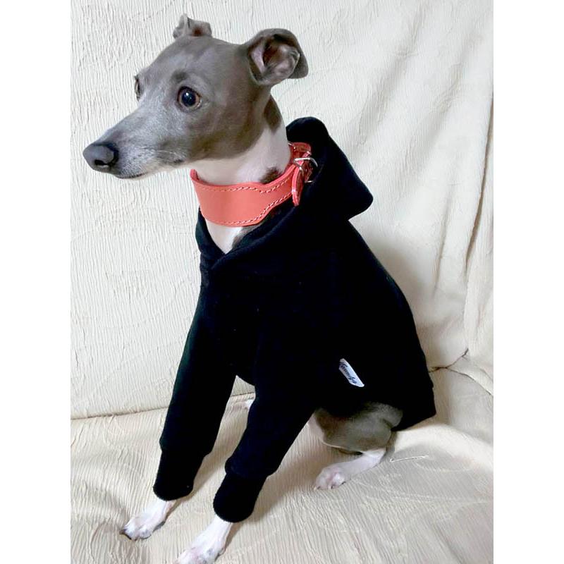 首輪 イタグレ ミニピン 革 幅広：Small Type G2_000(鋲なし） *色は十