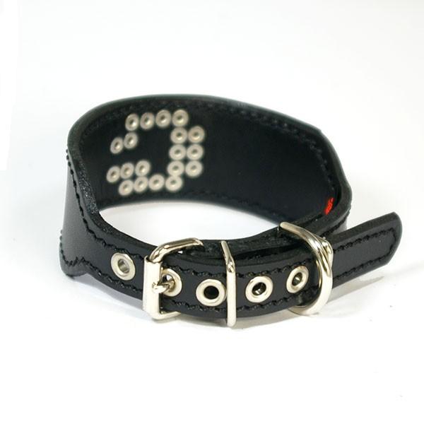 首輪 イタグレ ミニピン スタッズ 革 幅広：Small Type G2-000+