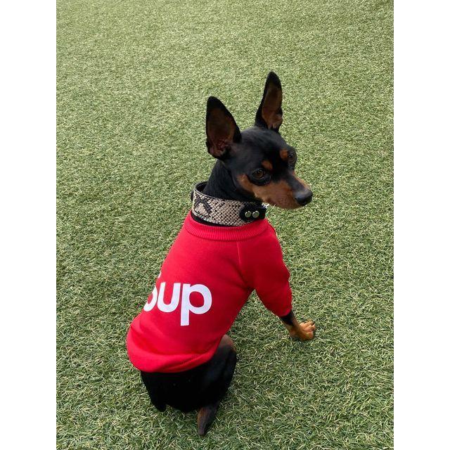 ハーフチョーク イタグレ ミニピン 革：Small Type Choker GF2【色は10