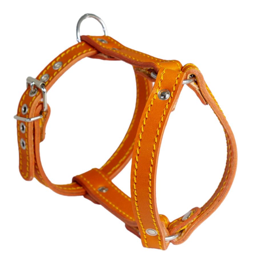 小型犬 ハーネス 胴輪 革 サイズオーダー：H2タイプ |  | 02